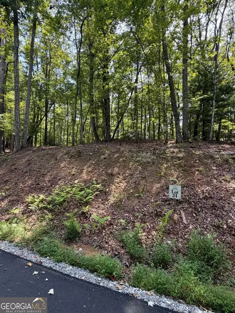 lot24 Prospect Rdg, Blue Ridge, GA 30513