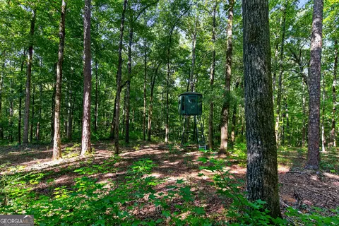Tract 2a1-a Salem Road, Lagrange, GA 30241 photo 18