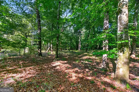Tract 2a1-a Salem Road, Lagrange, GA 30241 photo 13