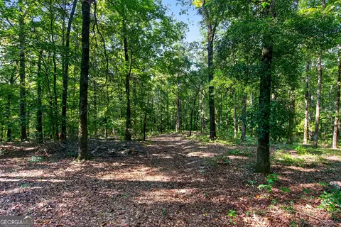 Tract 2a1-a Salem Road, Lagrange, GA 30241 photo 20