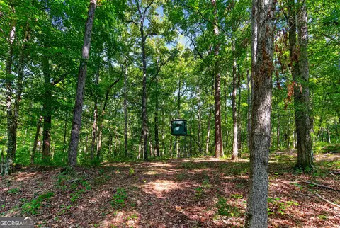 Tract 2a1-a Salem Road, Lagrange, GA 30241 photo 17