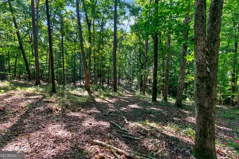 Tract 2a1-a Salem Road, Lagrange, GA 30241 photo 16