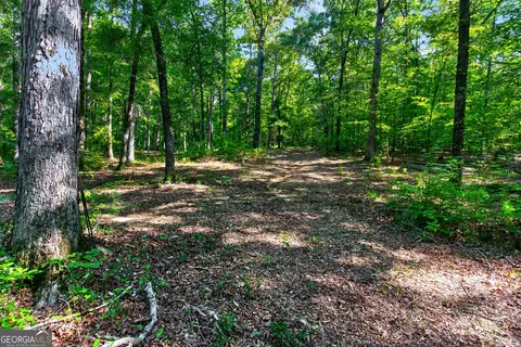 Tract 2a1-a Salem Road, Lagrange, GA 30241 photo 19