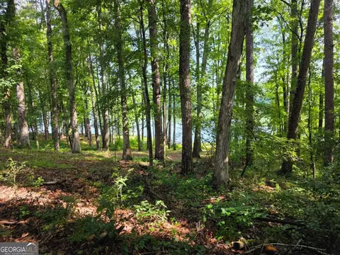 115 Cornish Trace Dr #LOT 11, Covington, GA 30014 photo 8