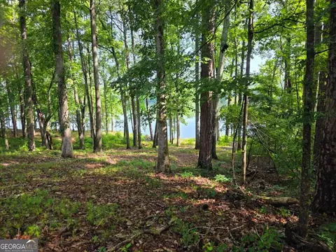 115 Cornish Trace Dr #LOT 11, Covington, GA 30014 photo 9
