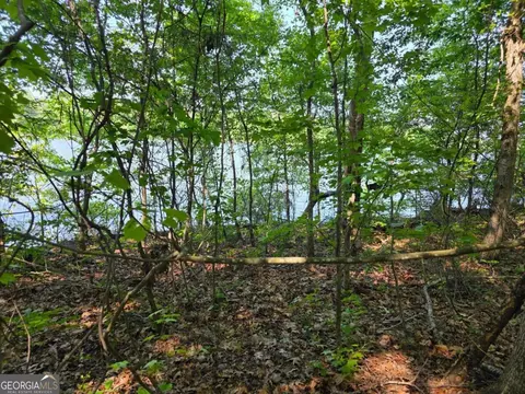 115 Cornish Trace Dr #LOT 11, Covington, GA 30014 photo 7