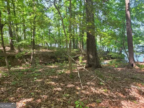 115 Cornish Trace Dr #LOT 11, Covington, GA 30014 photo 4