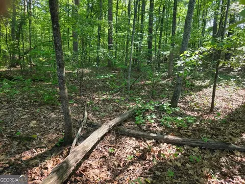 115 Cornish Trace Dr #LOT 11, Covington, GA 30014 photo 6
