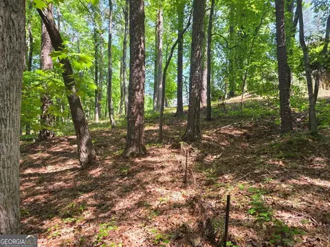 115 Cornish Trace Dr #LOT 11, Covington, GA 30014 photo 5