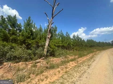 0 Cook Rd #TRACT 8, Monticello, GA 31064