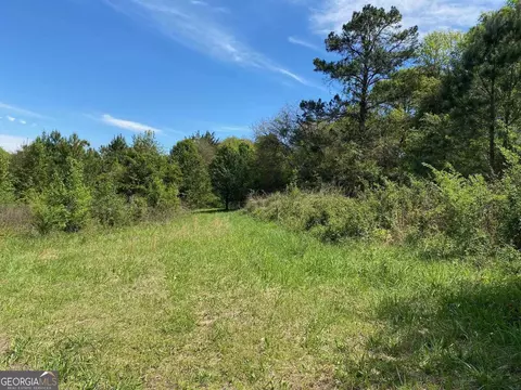 28 Acres Hwy 36e, Thomaston, GA 30286 photo 6