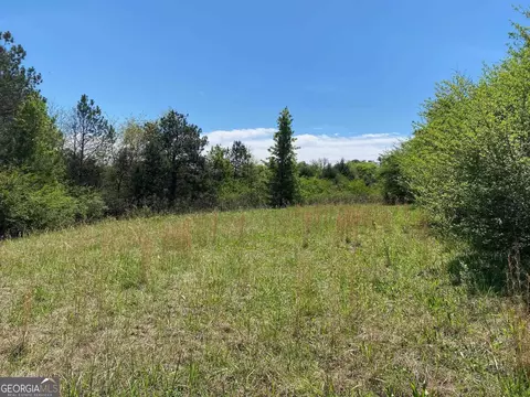 28 Acres Hwy 36e, Thomaston, GA 30286 photo 5