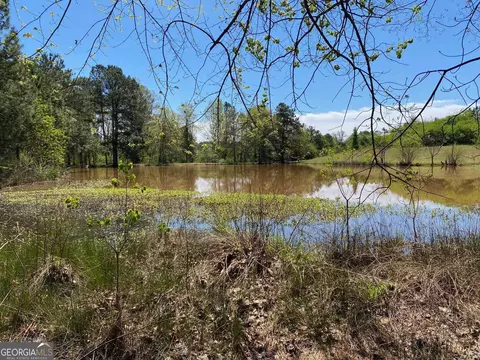 28 Acres Hwy 36e, Thomaston, GA 30286 photo 2