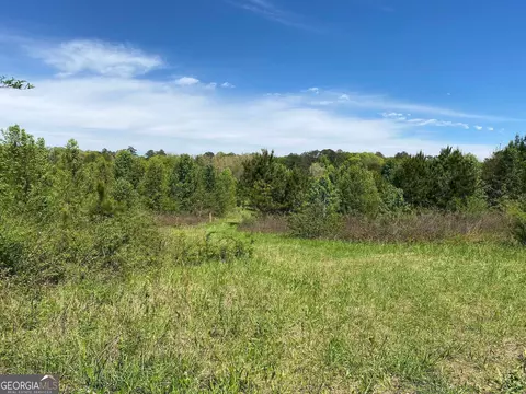 28 Acres Hwy 36e, Thomaston, GA 30286 photo 4