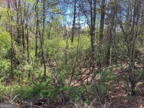 28 Acres Hwy 36e, Thomaston, GA 30286 photo 7