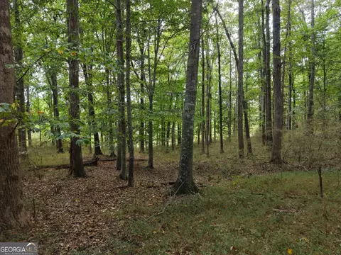 0 W L Williams Rd, Commerce, GA 30530 photo 39