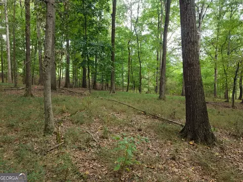 0 W L Williams Rd, Commerce, GA 30530 photo 41