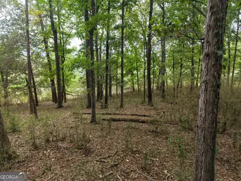 0 W L Williams Rd, Commerce, GA 30530 photo 58