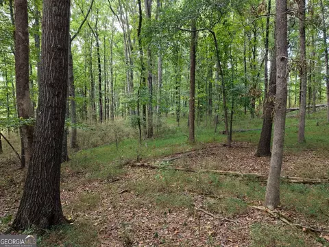 0 W L Williams Rd, Commerce, GA 30530 photo 35