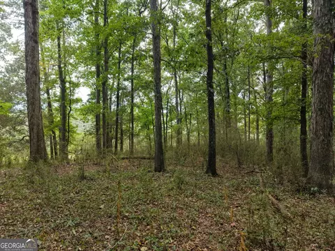 0 W L Williams Rd, Commerce, GA 30530 photo 56