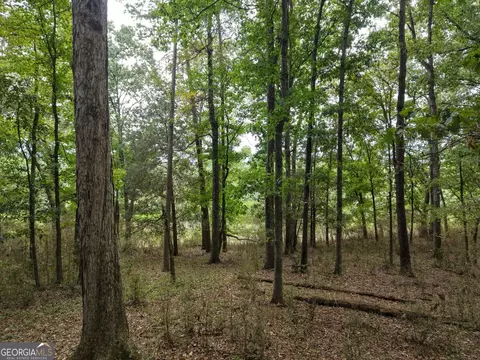 0 W L Williams Rd, Commerce, GA 30530 photo 57