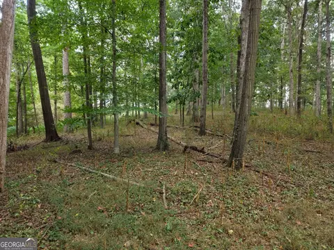 0 W L Williams Rd, Commerce, GA 30530 photo 51