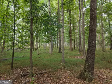 0 W L Williams Rd, Commerce, GA 30530 photo 38