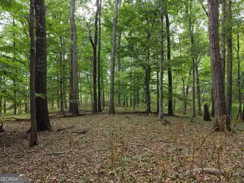 0 W L Williams Rd, Commerce, GA 30530 photo 53