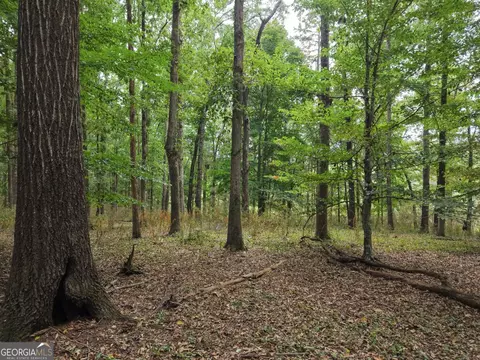 0 W L Williams Rd, Commerce, GA 30530 photo 54