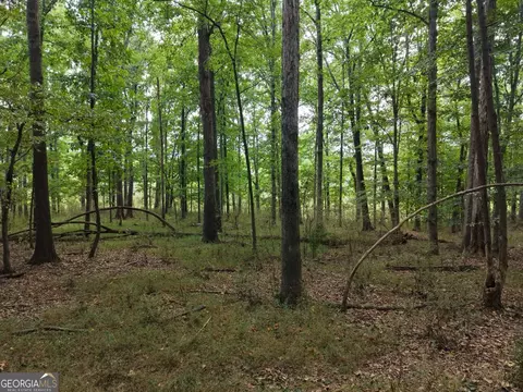 0 W L Williams Rd, Commerce, GA 30530 photo 36