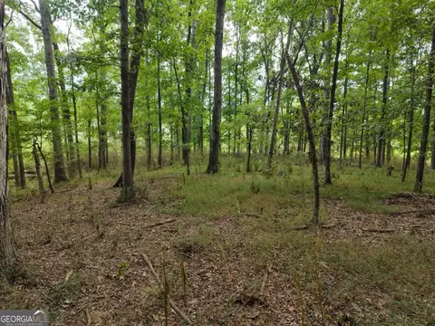 0 W L Williams Rd, Commerce, GA 30530 photo 30
