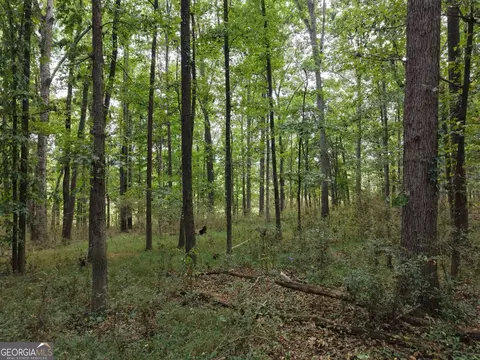 0 W L Williams Rd, Commerce, GA 30530 photo 47