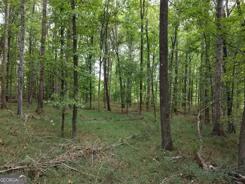0 W L Williams Rd, Commerce, GA 30530 photo 46
