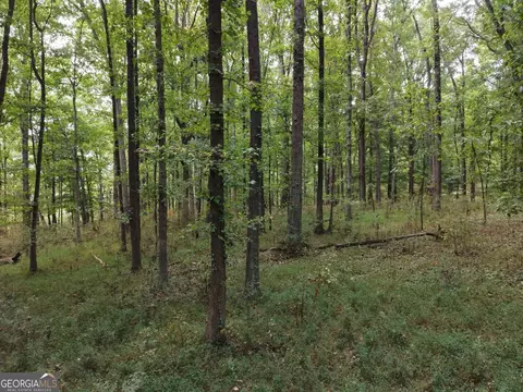 0 W L Williams Rd, Commerce, GA 30530 photo 44