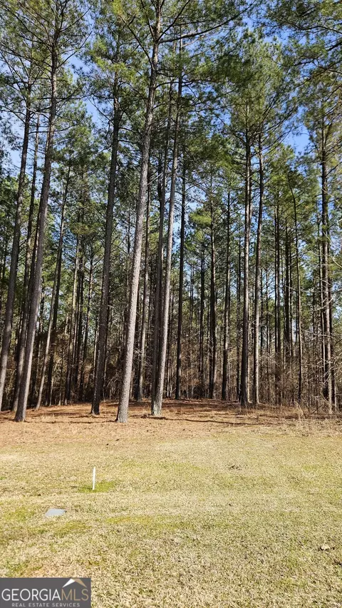 1121 Apalachee Meadows Dr, Madison, GA 30650