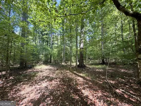 11 Bunch Rd, Tignall, GA 30668 photo 64