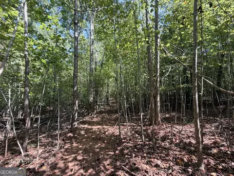 11 Bunch Rd, Tignall, GA 30668 photo 39