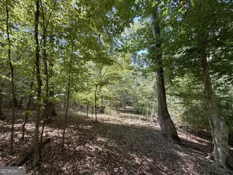 11 Bunch Rd, Tignall, GA 30668 photo 57