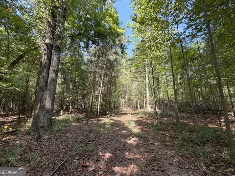 11 Bunch Rd, Tignall, GA 30668 photo 22