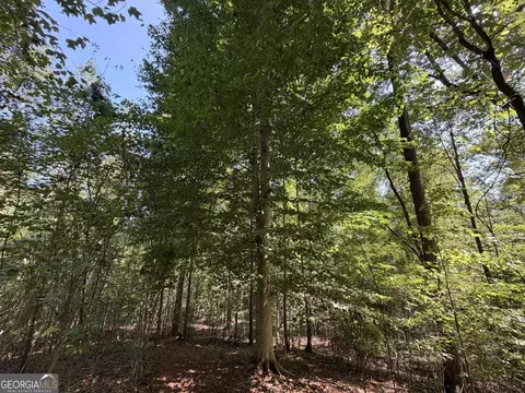 11 Bunch Rd, Tignall, GA 30668 photo 28