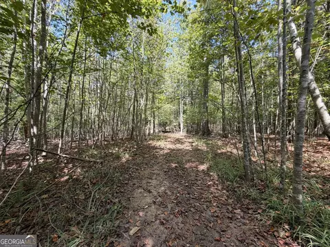11 Bunch Rd, Tignall, GA 30668 photo 46