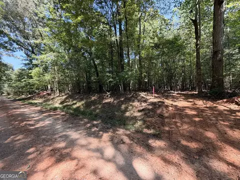 11 Bunch Rd, Tignall, GA 30668 photo 18