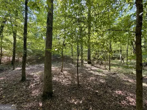 11 Bunch Rd, Tignall, GA 30668 photo 67