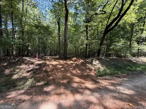 11 Bunch Rd, Tignall, GA 30668 photo 16