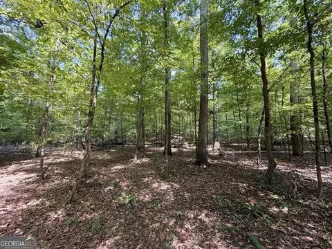 11 Bunch Rd, Tignall, GA 30668 photo 69