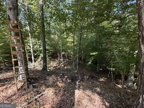 11 Bunch Rd, Tignall, GA 30668 photo 60