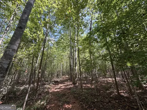 11 Bunch Rd, Tignall, GA 30668 photo 43
