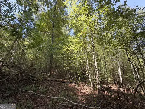 11 Bunch Rd, Tignall, GA 30668 photo 30