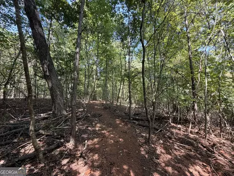 11 Bunch Rd, Tignall, GA 30668 photo 24