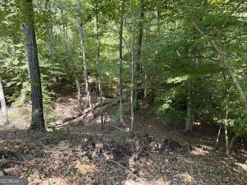 11 Bunch Rd, Tignall, GA 30668 photo 61